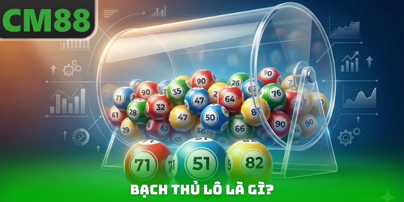 Bạch thủ lô là gì?