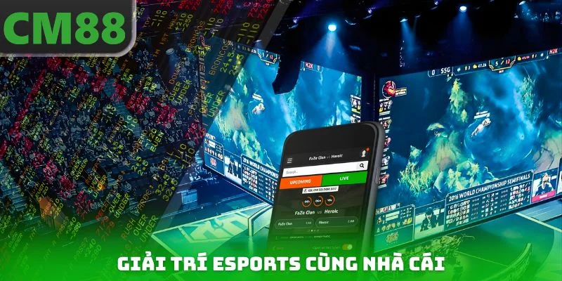 Giải trí Esports cùng nhà cái