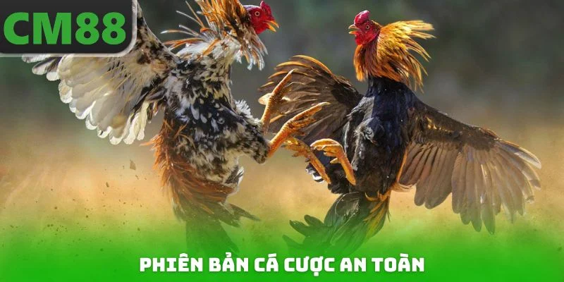 Phiên bản cá cược an toàn