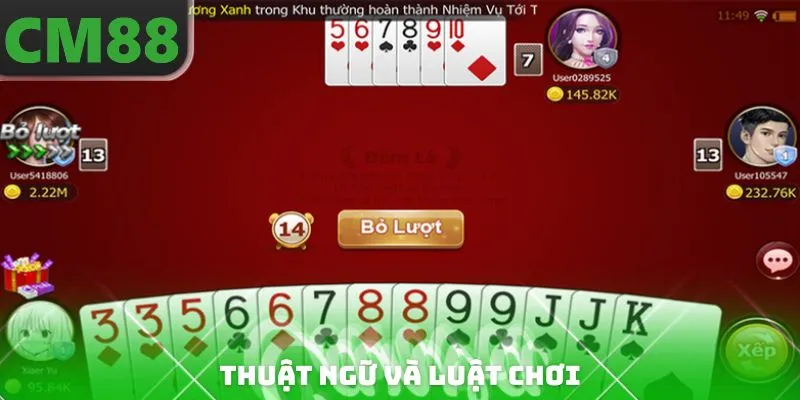 Thuật ngữ và luật chơi